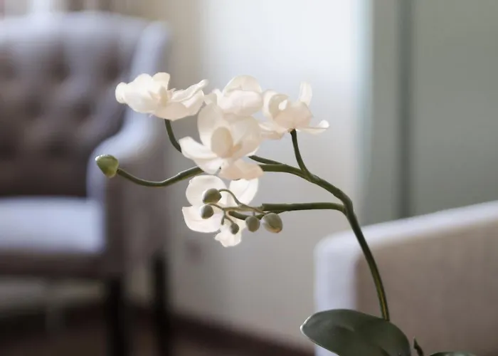 Hotel Unterbrunn & Gaestehaus 3*